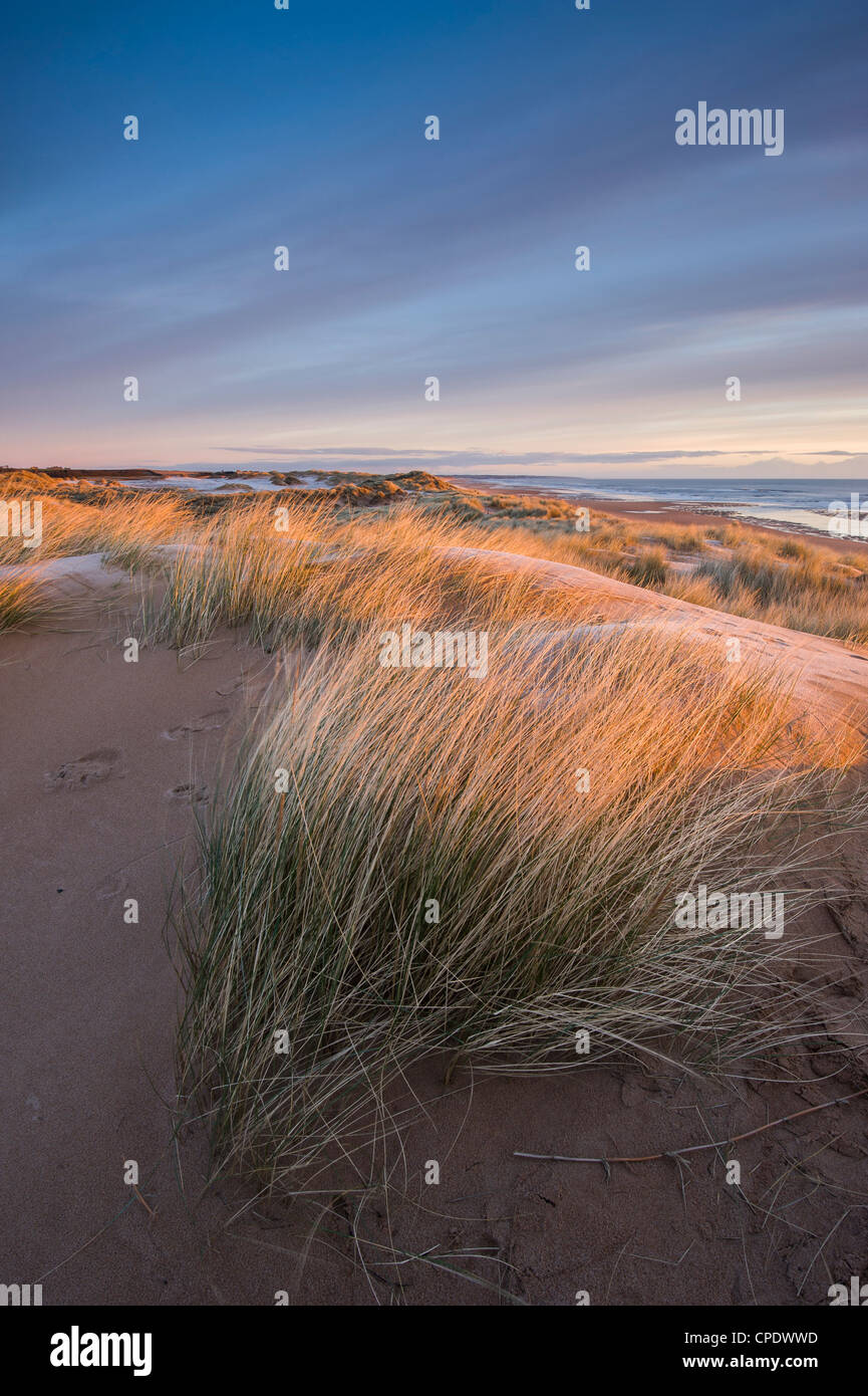 Balmedie Beach at sunrise, Aberdeenshire, Scotland, UK Stock Photo - Alamy