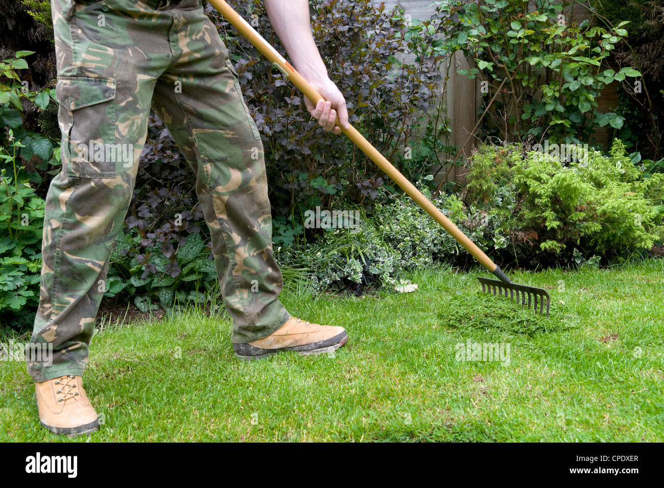 Young Caucasian man raking cut grass in garden in Bristol, UK Stock Photo
