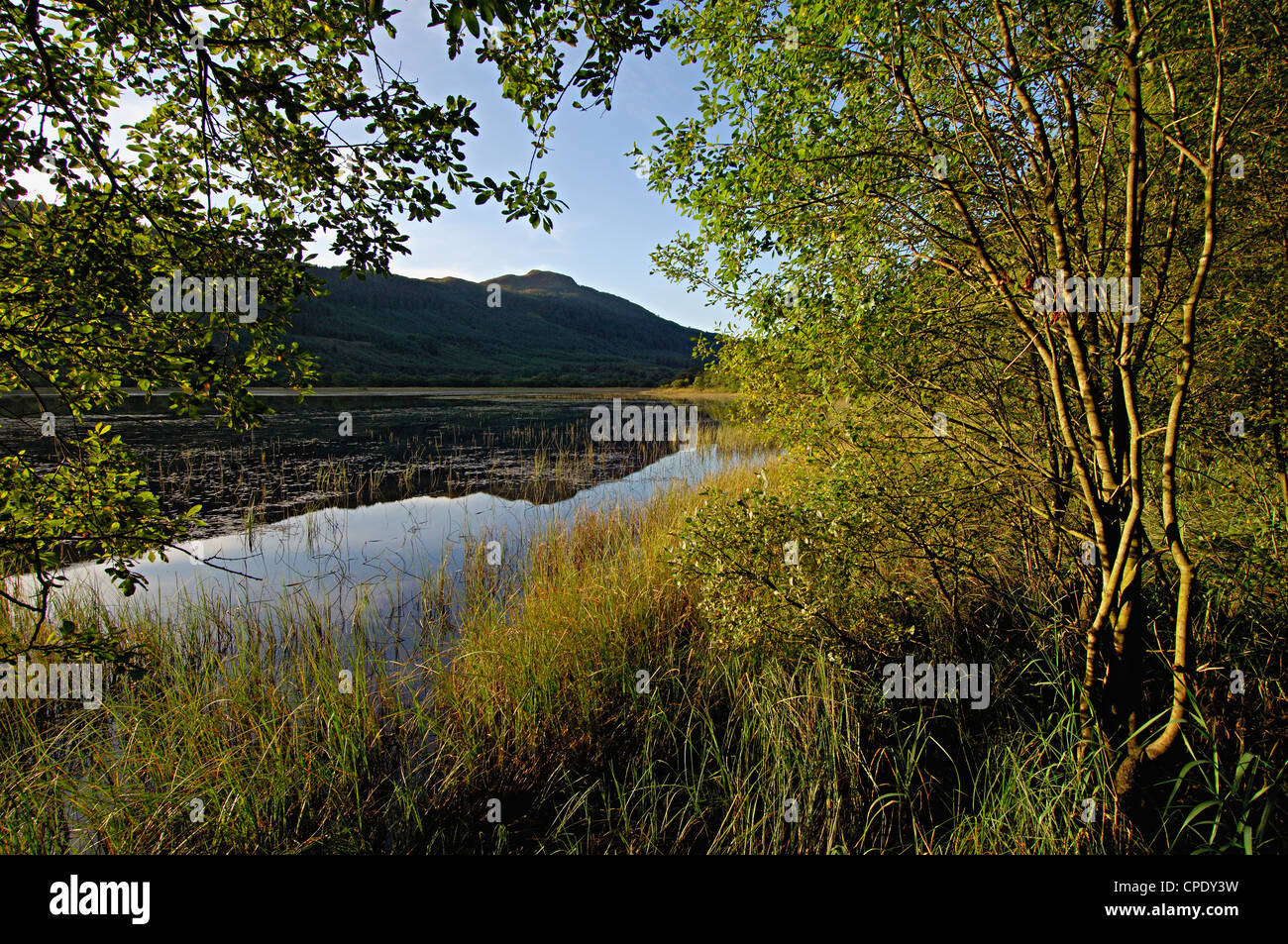 Calm reflections in Loch Lubnaig, Balquidder, Scotland Stock Photo