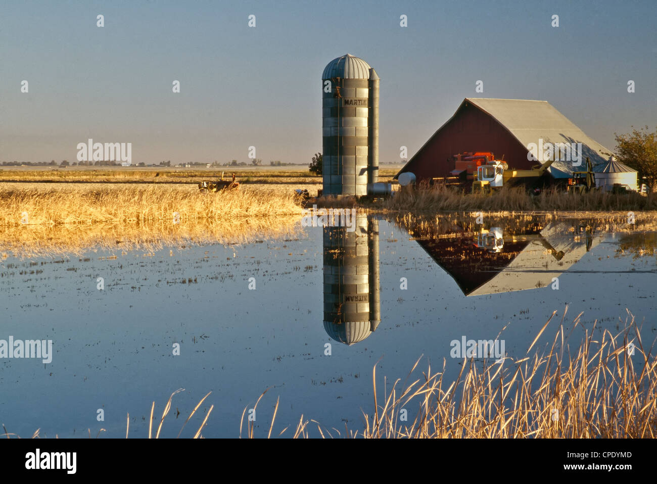 Flooded rice field, reflections of barn, silo & harvester. Stock Photo