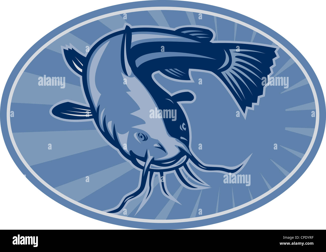 Illustration of a bullhead catfish fish swimming front set inside ellipse done in retro woodcut style. Stock Photo