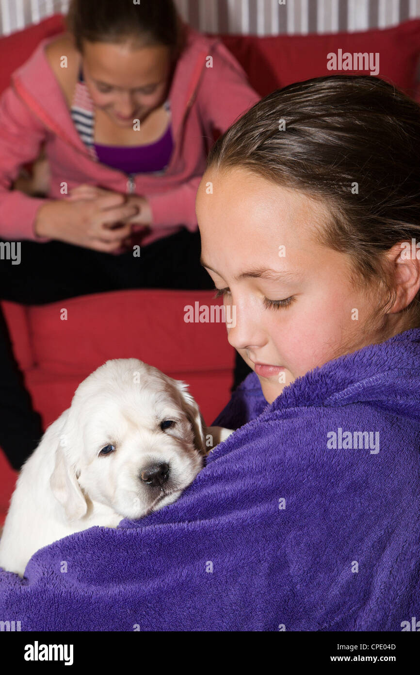 Young girl holding a platinum colored Golden Retriever puppy.  27 days old. Stock Photo