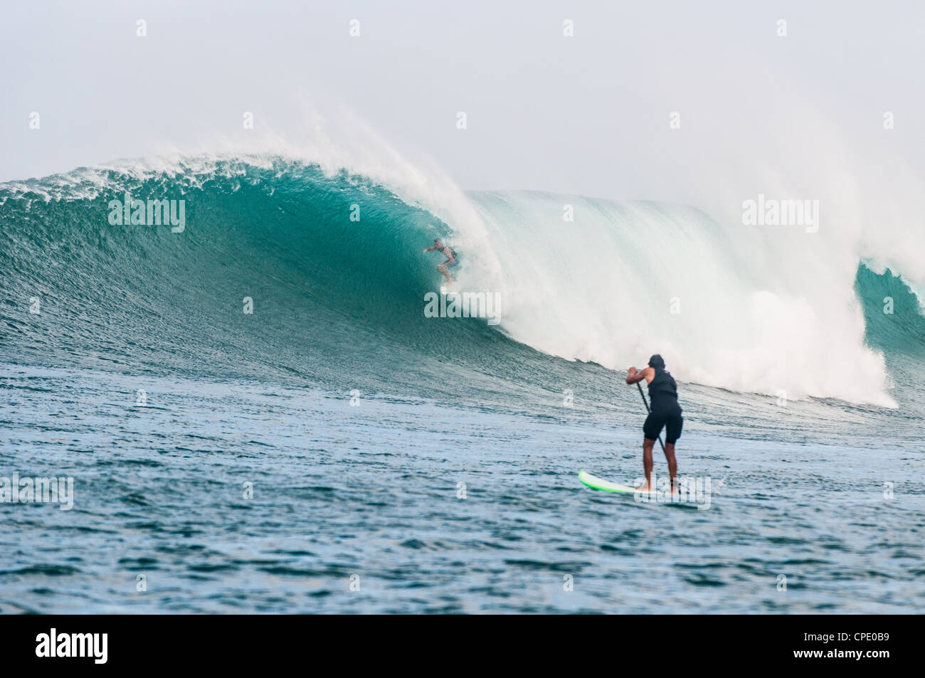 Hawaii hawaii surfing hi-res stock photography and images - Alamy
