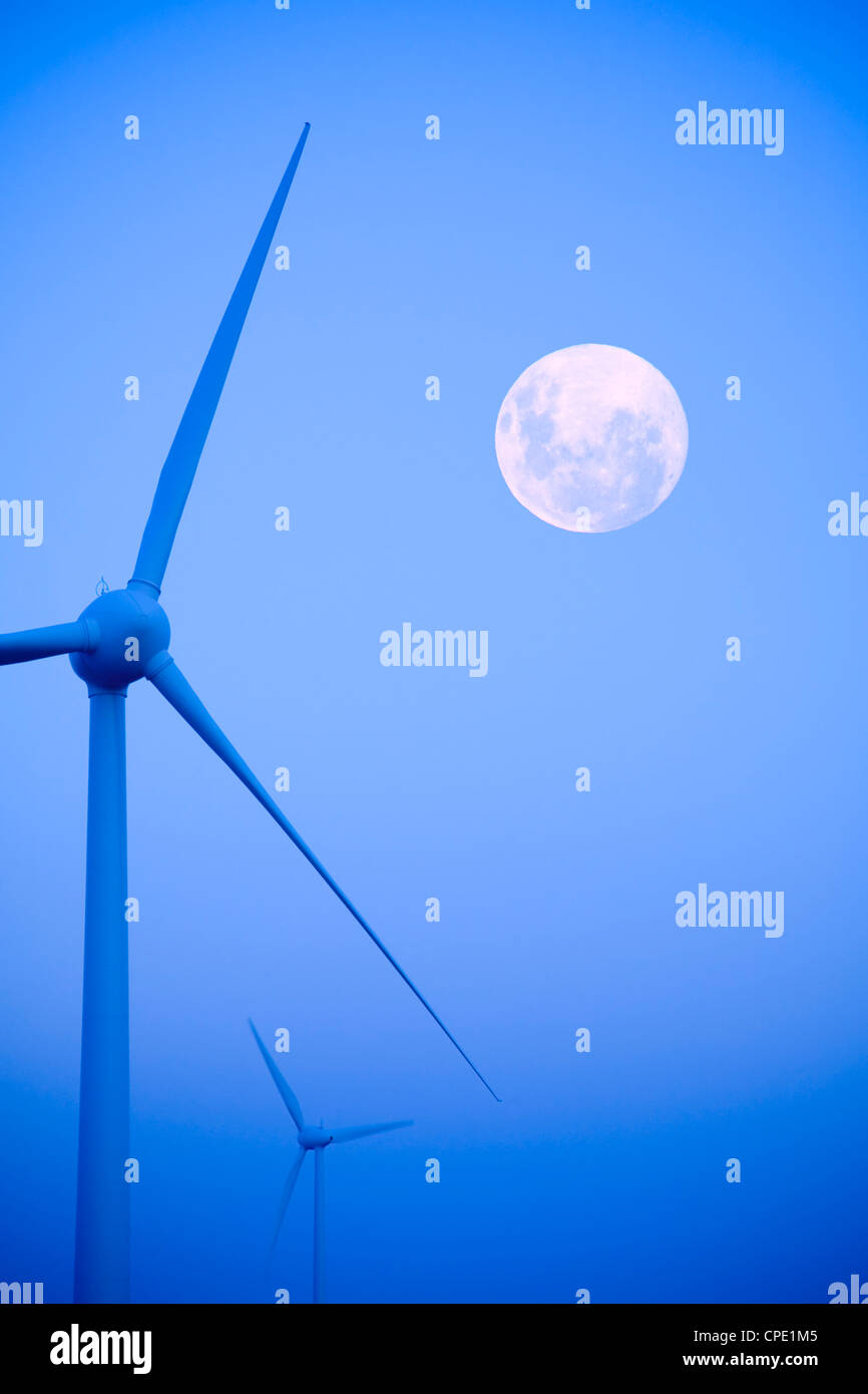 Early morning mist at Albany wind farm, tungsten processed, moon in shot. Concepts of turbines working all hours. Stock Photo