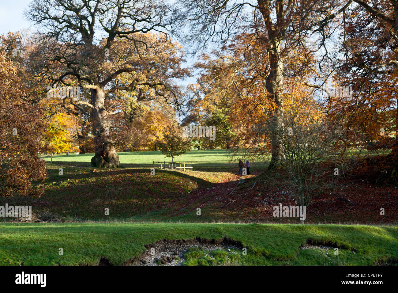 Levens Park, Levens Hall Cumbria Autumn Stock Photo Alamy