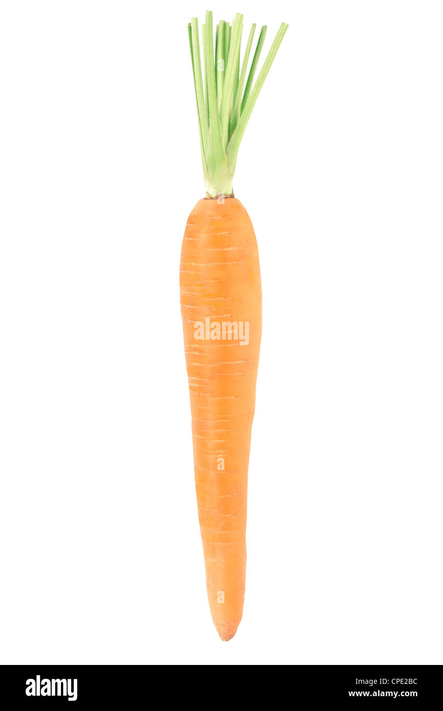 Carrot Stock Photo