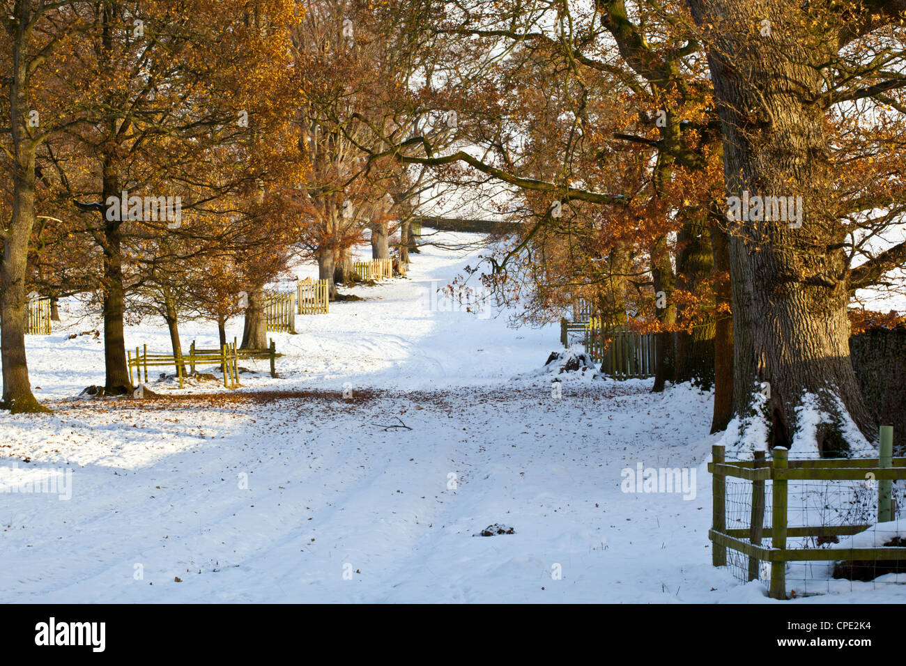Levens hall snow hires stock photography and images Alamy