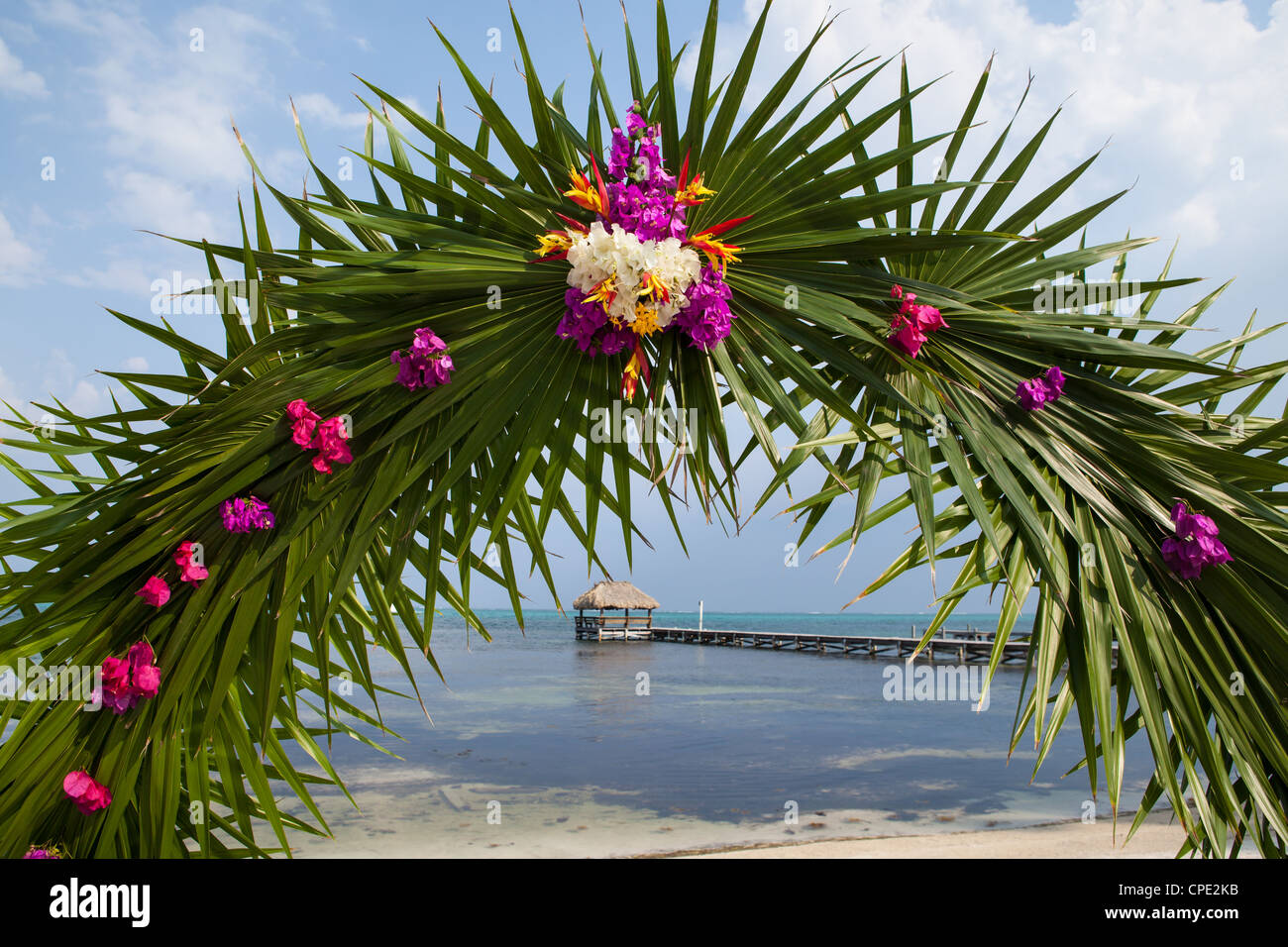 Ambergris Caye, Belize Beach Wedding Arch of Palm Fronds and Pink Bougenvellia Stock Photo