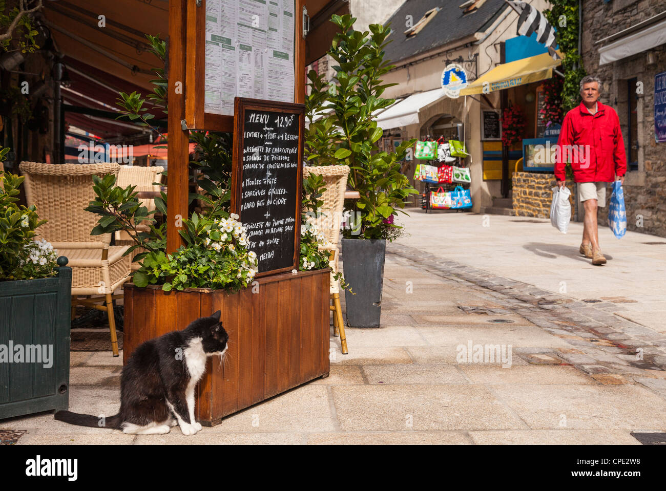 A cat sits on the pavement outside a restaurant in the old city of Concarneau, Brittany, France. Stock Photo