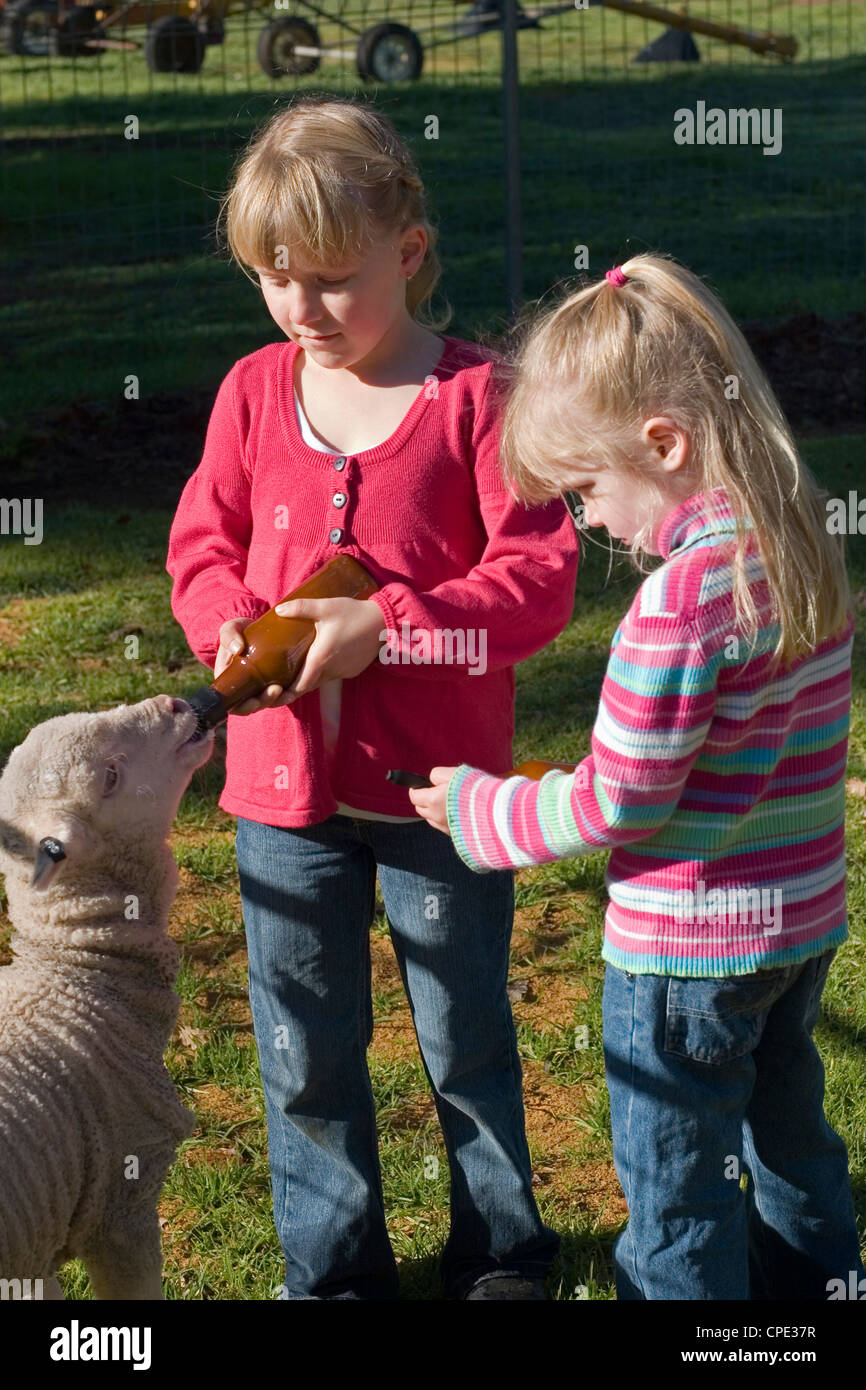 Two sisters feeding lamb Stock Photo Alamy