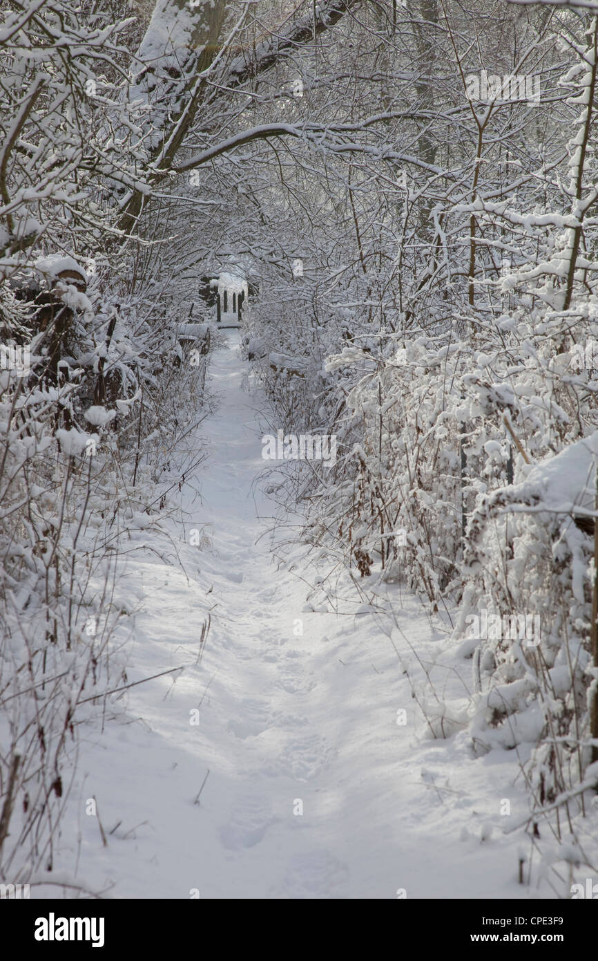 Footpath near Haddon Hall in winter, Derbyshire, England, United Kingdom, Europe Stock Photo