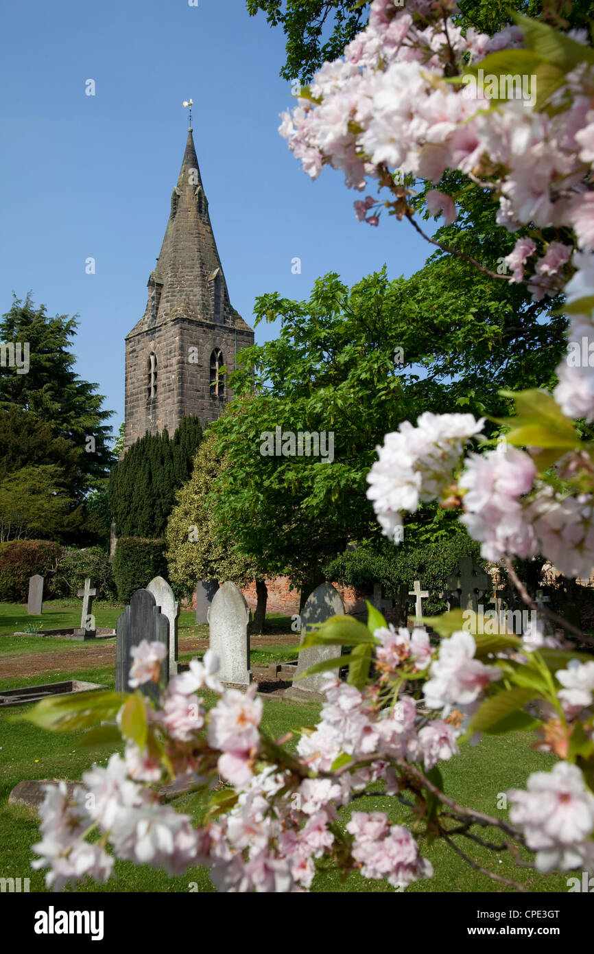 Church and spring blossom, Burton Joyce, Nottinghamshire, England, United Kingdom, Europe Stock Photo