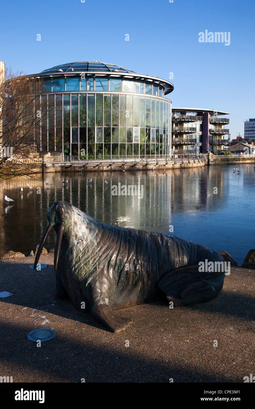 Walrus statue at The Winter Gardens, Sunderland, Tyne and Wear, England, United Kingdom, Europe Stock Photo