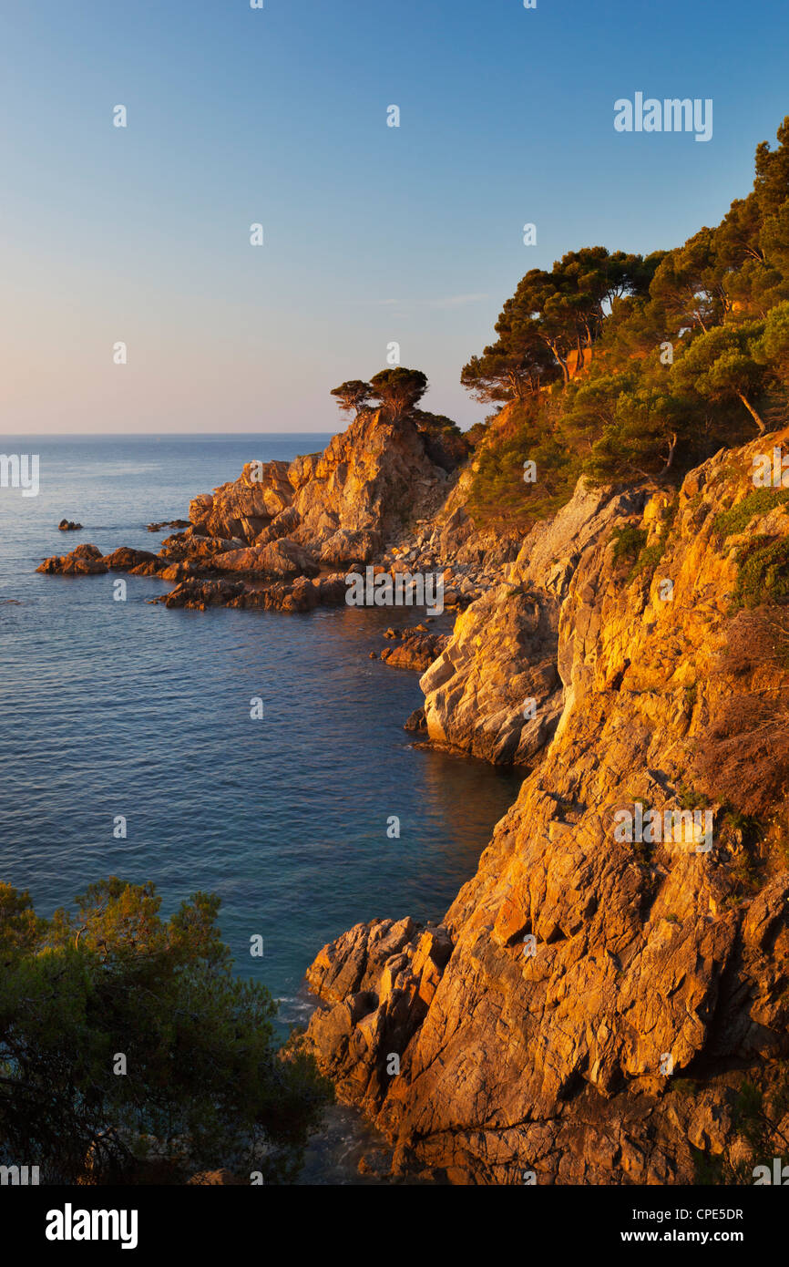 Coastline at dawn, Calella de Palafrugell, Costa Brava, Catalonia, Spain, Mediterranean, Europe Stock Photo