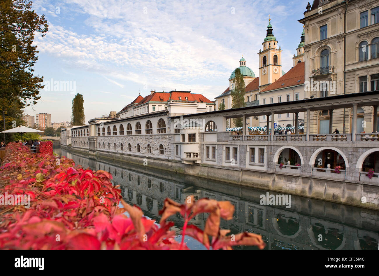 Riverside market halls and the Cathedral of St. Nicholas on the Ljubljanica River, Ljubljana, Slovenia, Europe Stock Photo