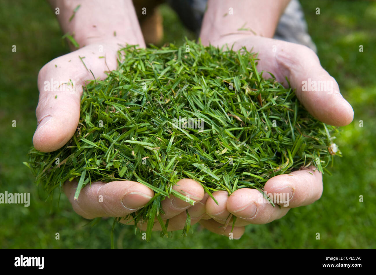 Use grass cuttings hires stock photography and images Alamy