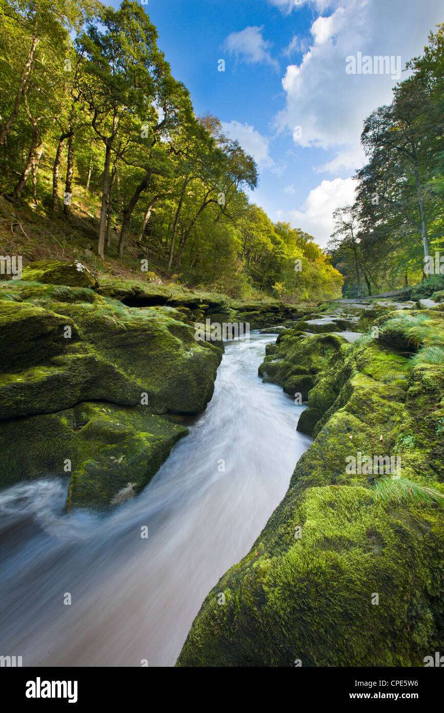 Early autumn at the Strid near Bolton Abbey, Wharfedale, Yorkshire, England, United Kingdom, Europe Stock Photo