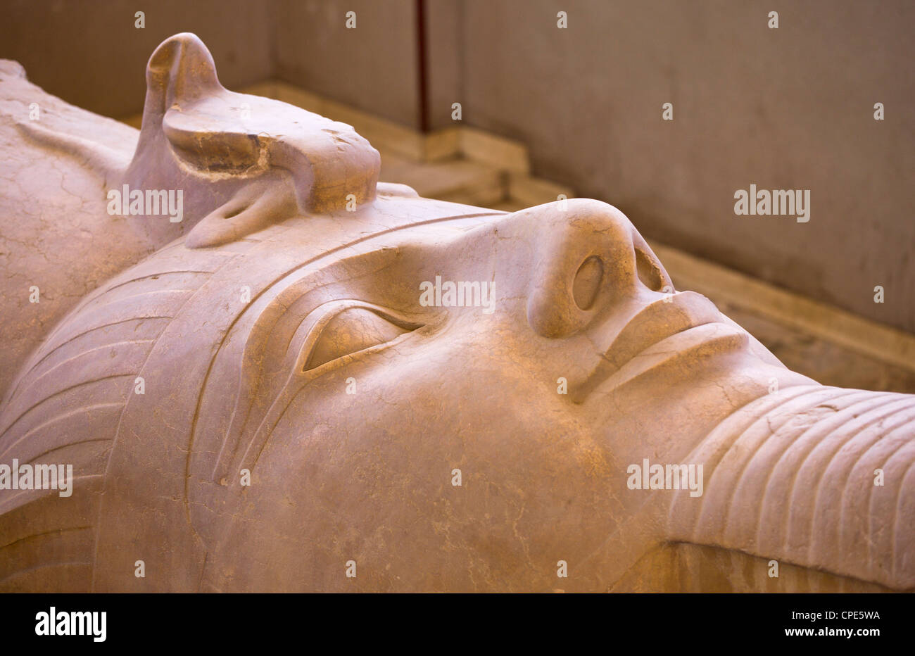 The face of the Colossus of Ramesses II at Memphis, Egypt, North Africa, Africa Stock Photo