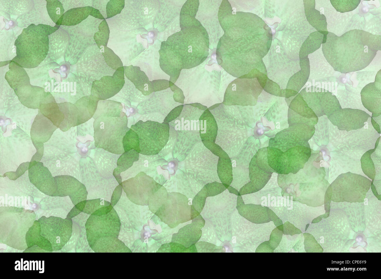 art background with green flowers , abstract wallpaper Stock Photo Alamy