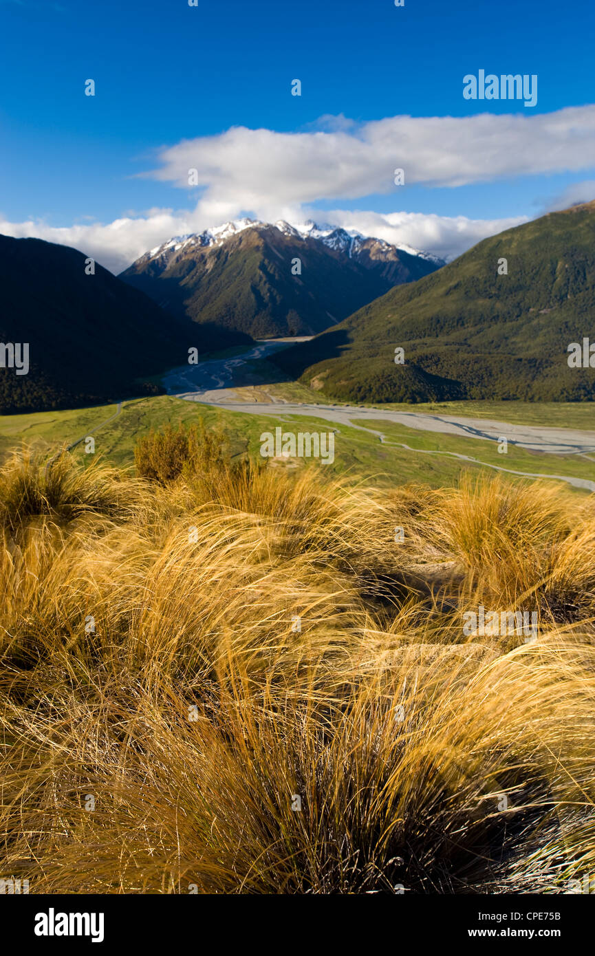 Arthur's Pass National Park, South Island, New Zealand, Pacific Stock