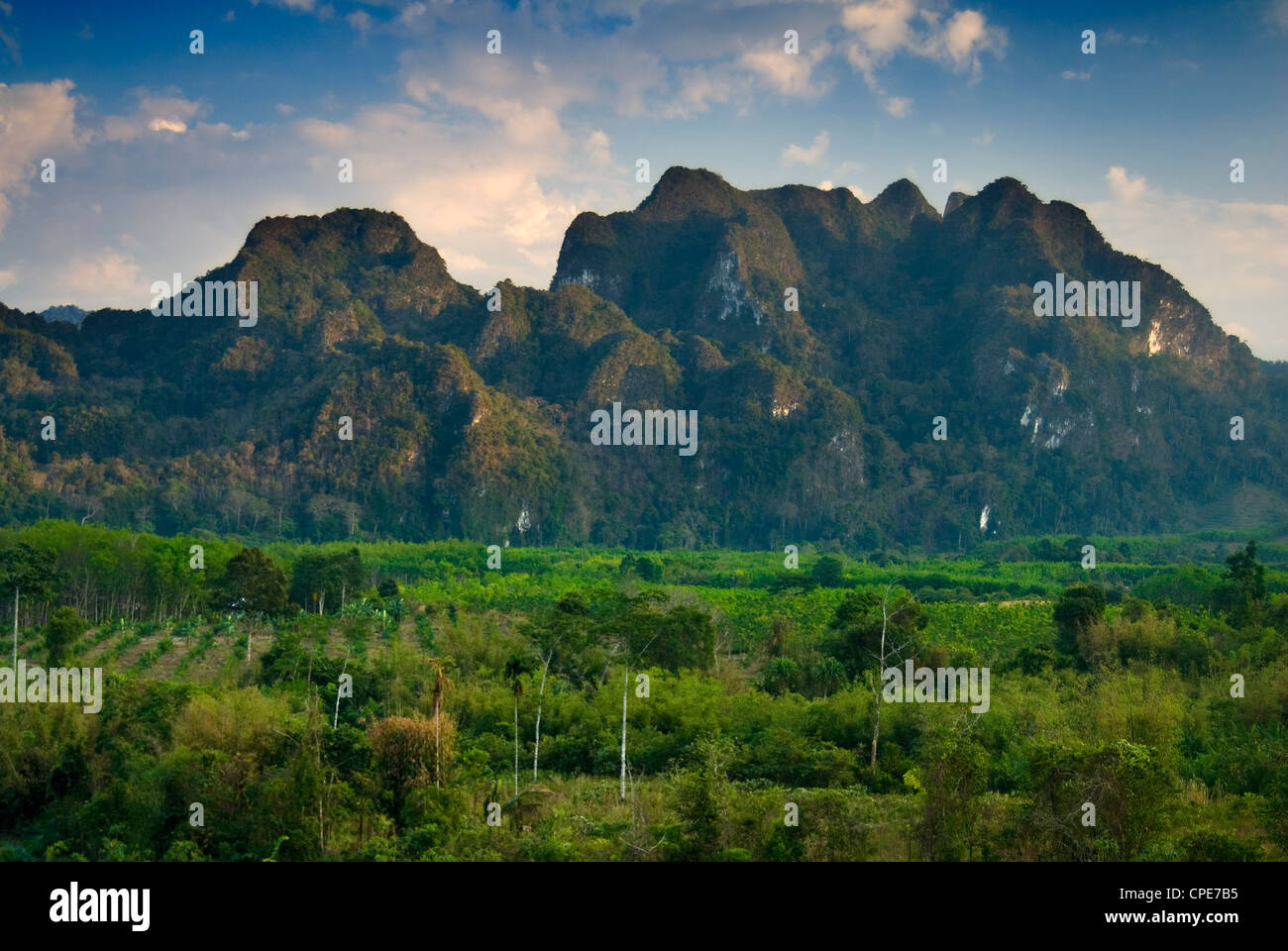 Khao Sok National Park, Surat Thani Province, Thailand, Southeast Asia, Asia Stock Photo