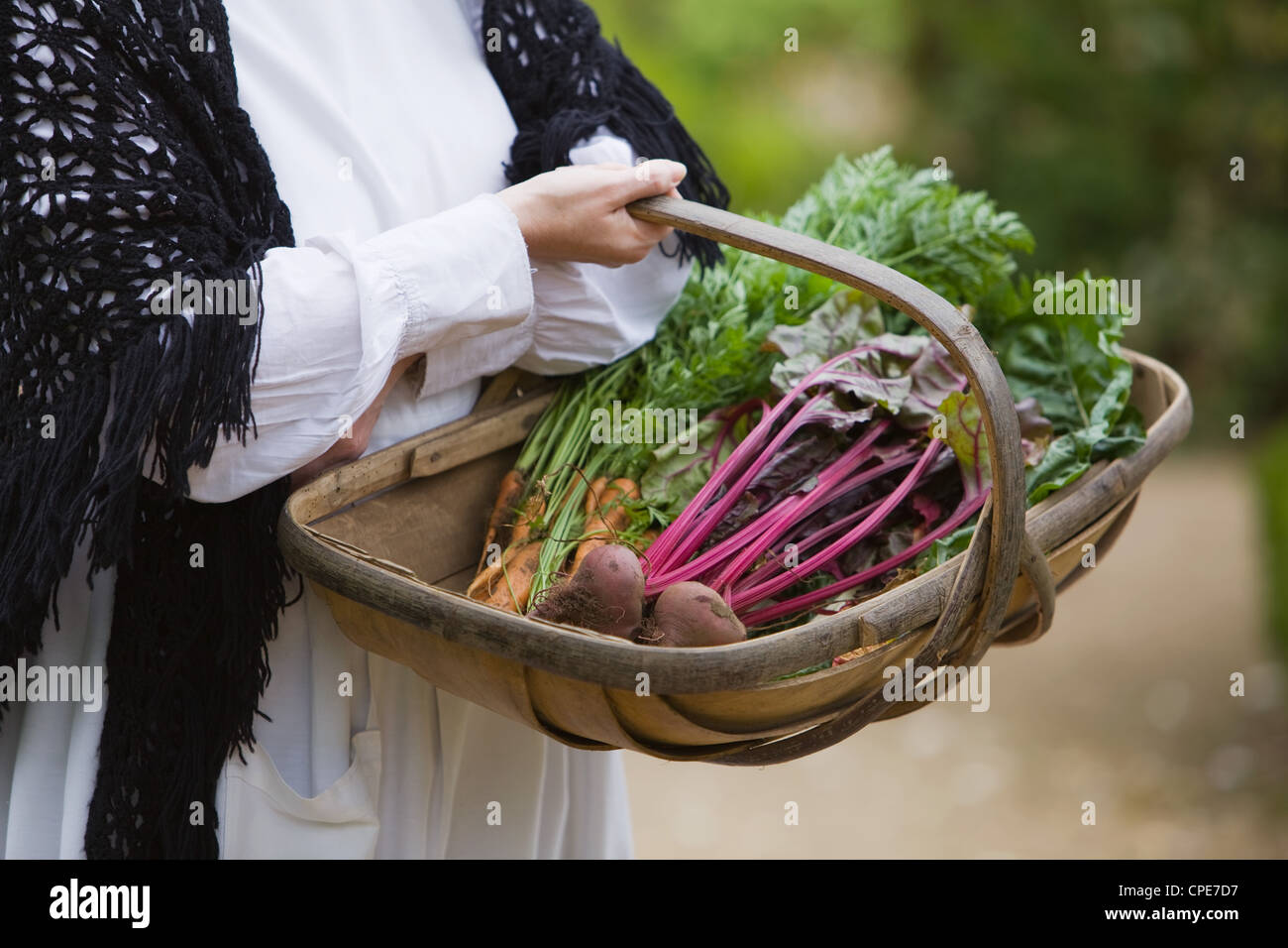 Vegetables in wooden basket or Sussex Trug Stock Photo