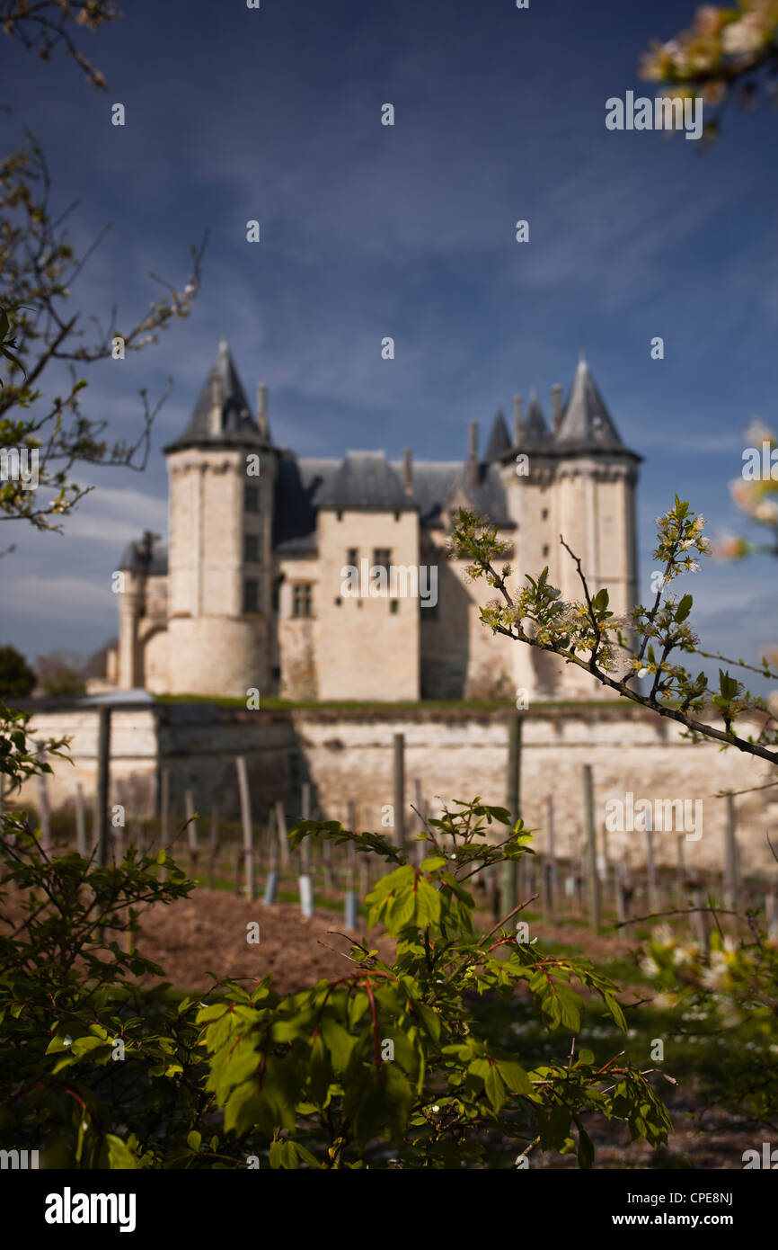 Chateau de saumur hi-res stock photography and images - Alamy