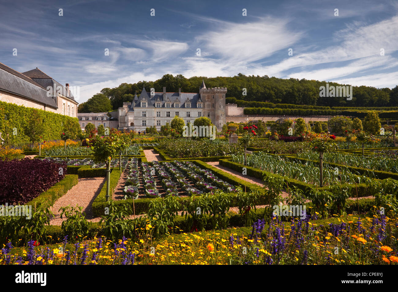 Chateau de Villandry, UNESCO World Heritage Site, Villandry, Indre-et-Loire, Loire Valley, France, Europe Stock Photo