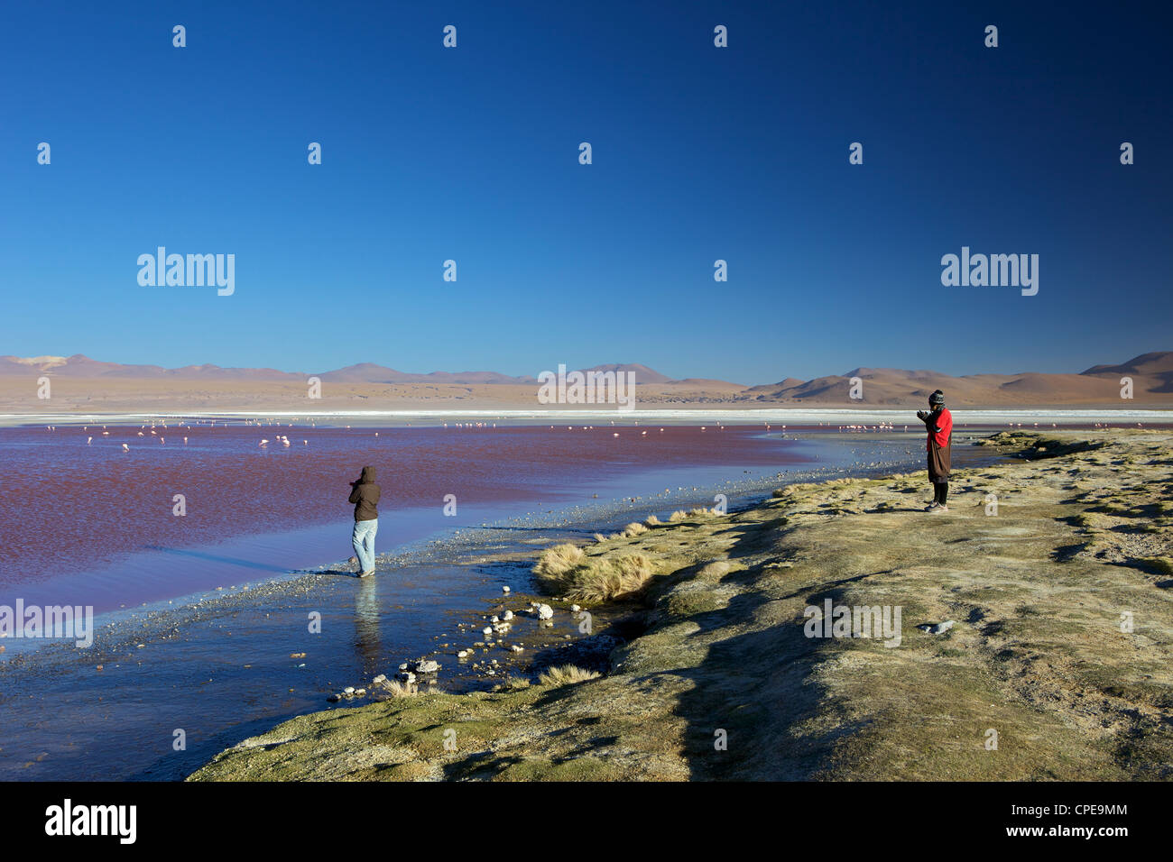 Eduardo Avaroa Andean Fauna National Reserve Stock Photos & Eduardo ...