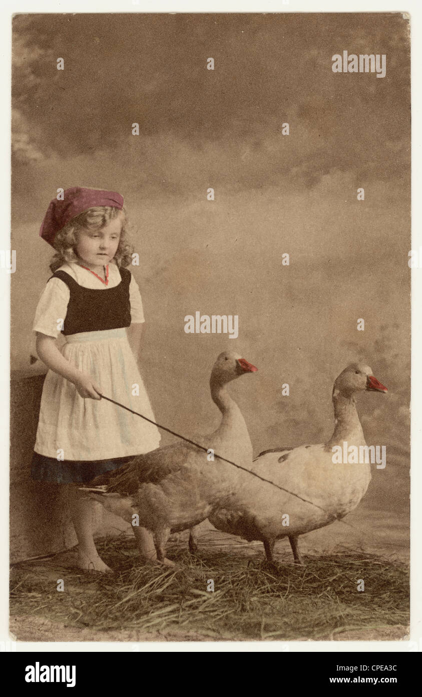 Early 1900's postcard of young girl herding geese with a stick, posted July 23 1913, U.K Stock Photo