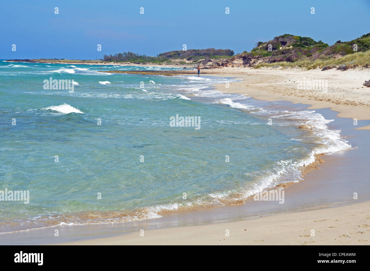 Beach At Torre Guaceto Puglia Italy Stock Photo 48259056