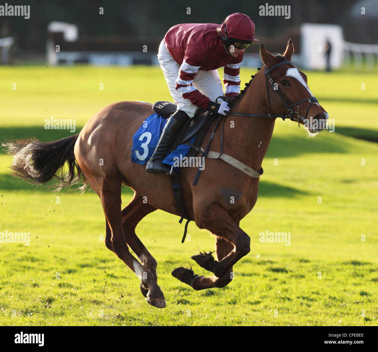 All four hooves off the ground hires stock photography and images Alamy
