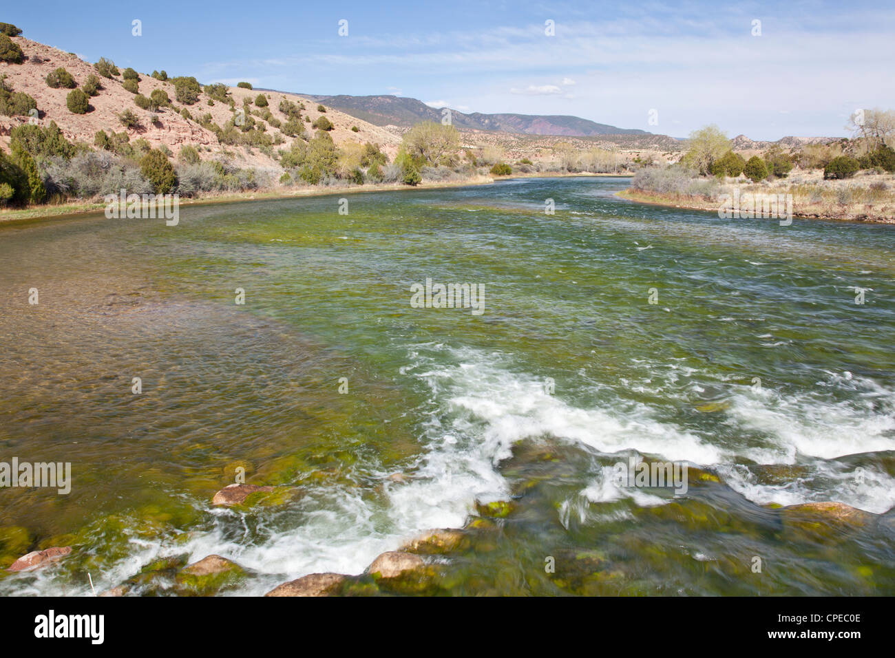 Green River at Bridge Hollow, Browns Park, Utah below Flaming Gorge Dam, springtime, looking downstream Stock Photo