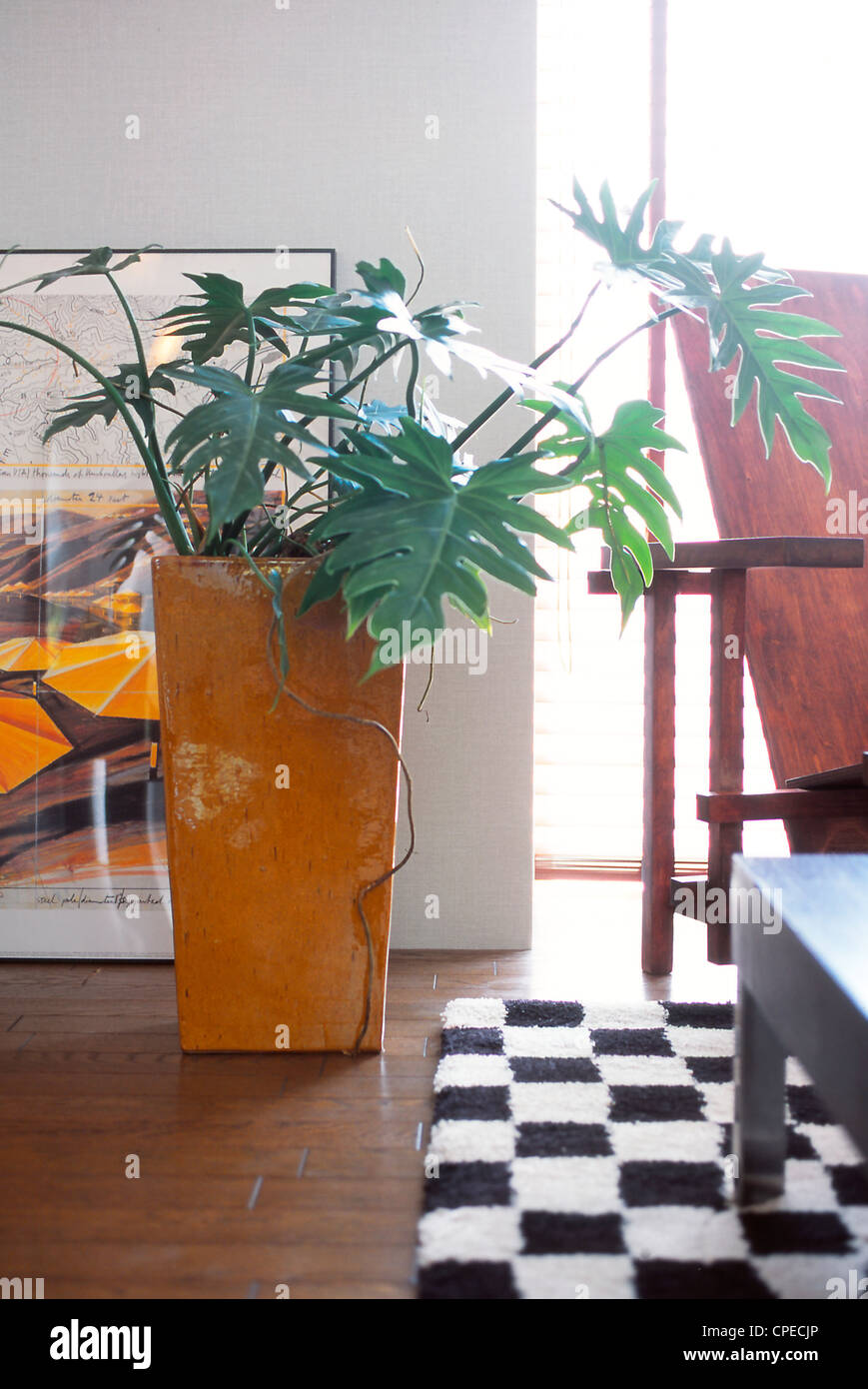 Large Potted Plat Beside Window In Room Stock Photo