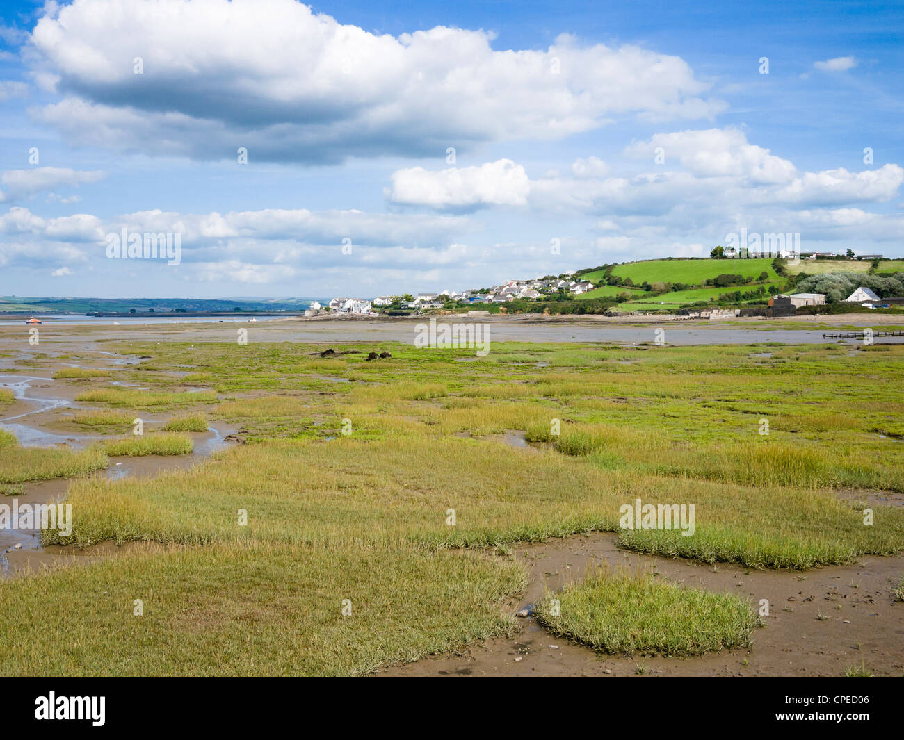 Appledore and Skern saltlats beside the Taw and Torrage estuary, Devon, England. Stock Photo