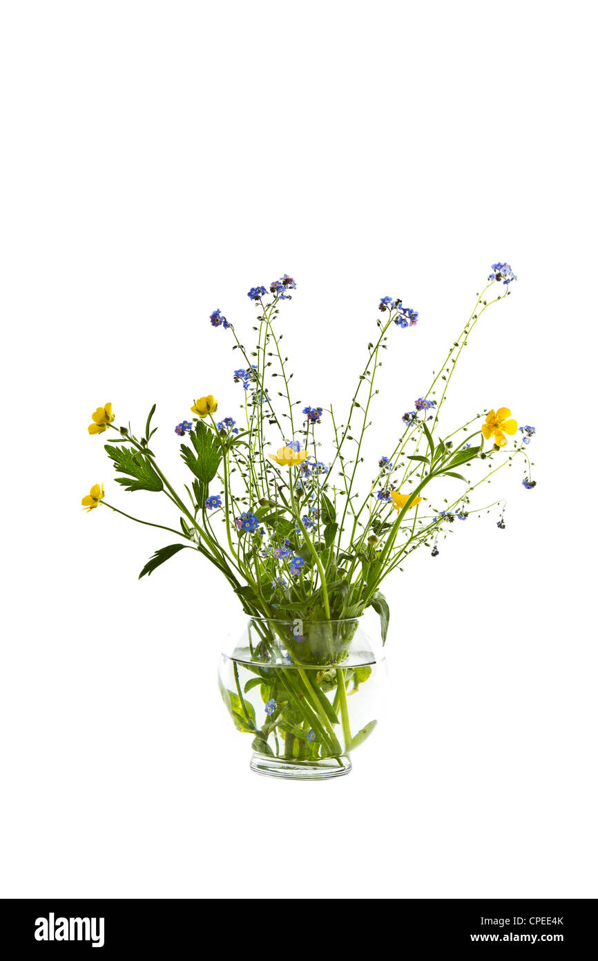 Seasonal wild flowers in glass vase on white background Stock Photo