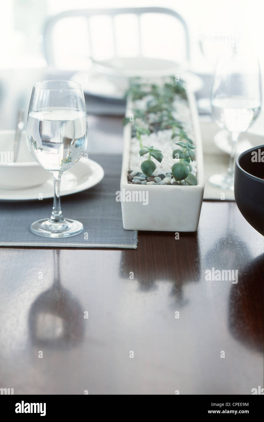 Plant Pot And Dishware On Dining Table Stock Photo