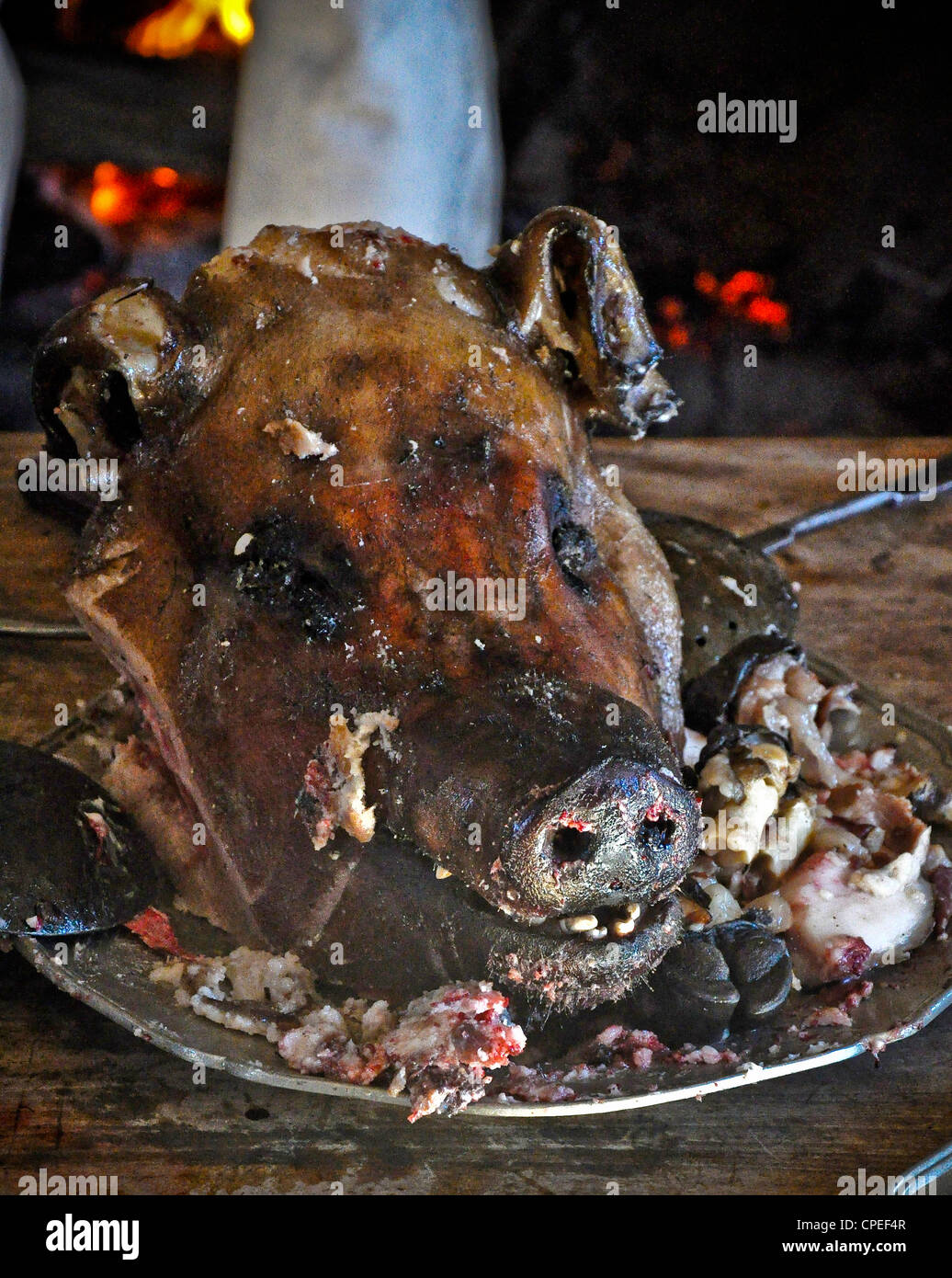Boars head dinner plate Stock Photo Alamy