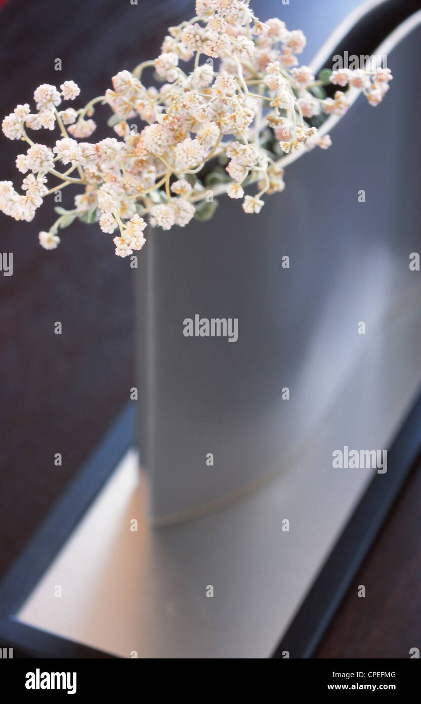 Modern Silver Flower Vase Stock Photo Alamy