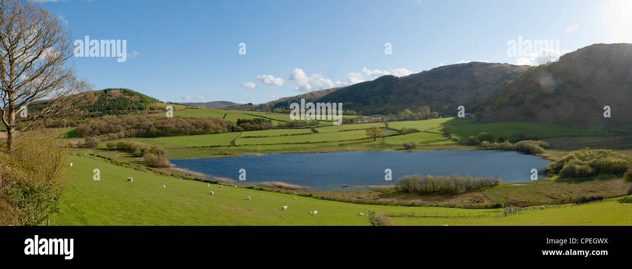 Cambrian Mountains, Powys, Wales, UK Stock Photo Alamy