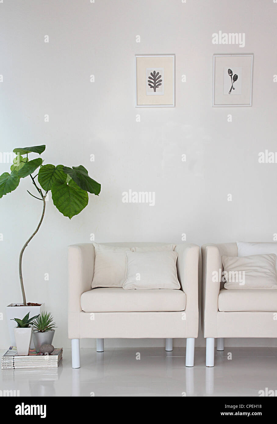 Potted Plant Beside Easy Chairs In Room Stock Photo