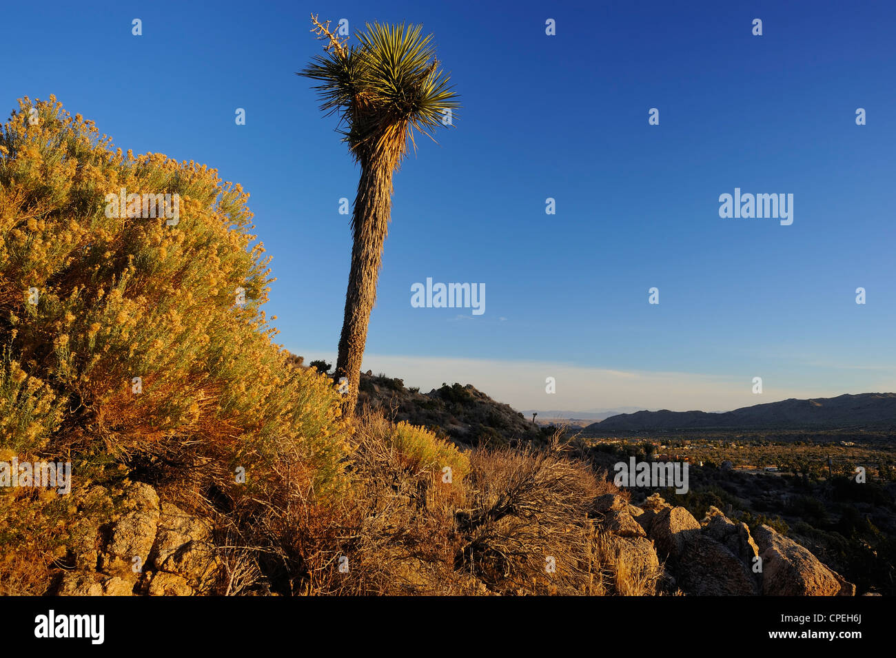 Black Rock Canyon Campground Stock Photos Black Rock Canyon