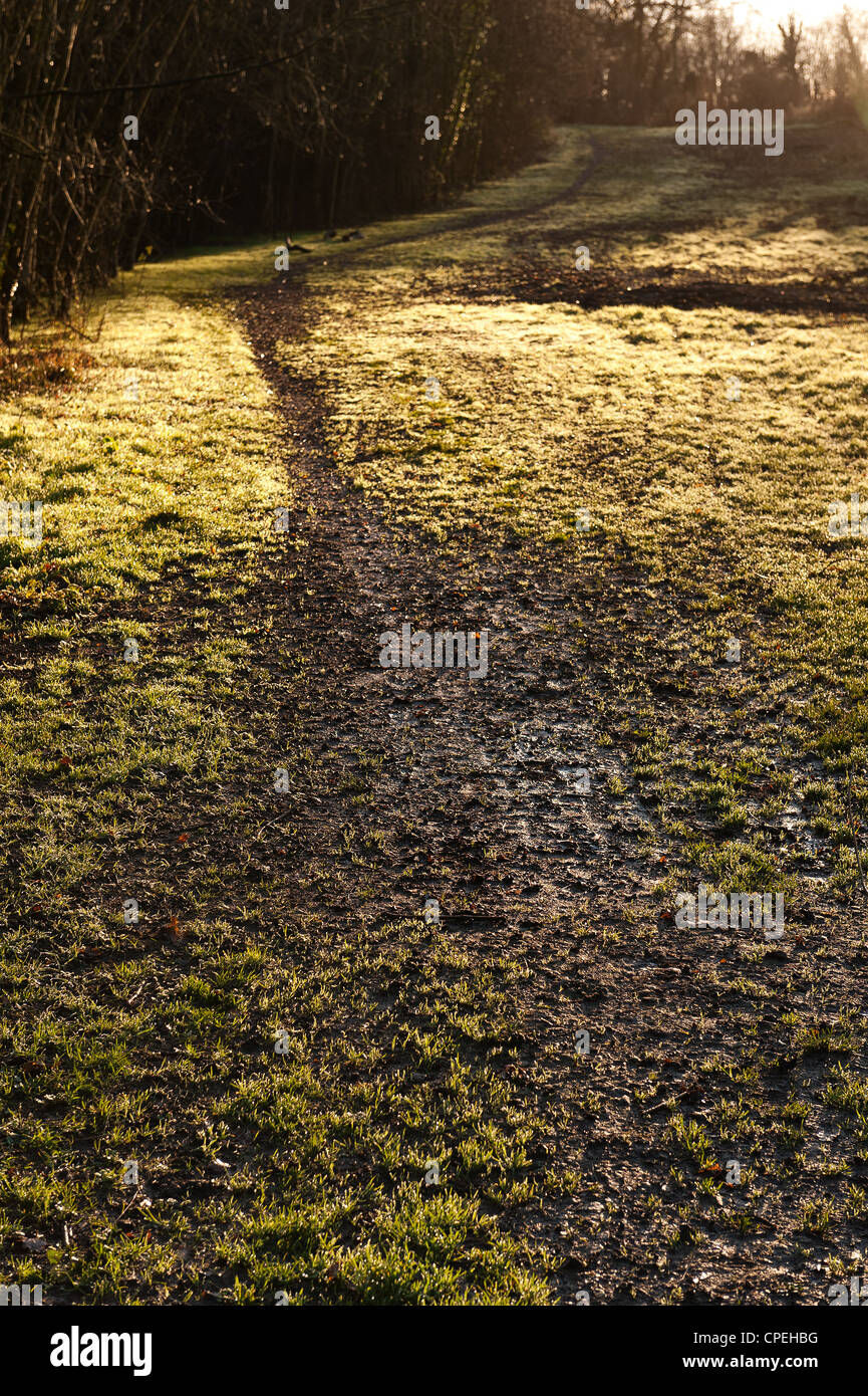 Mud erosion on chalkland footpath near forest due to walkers ramblers ...