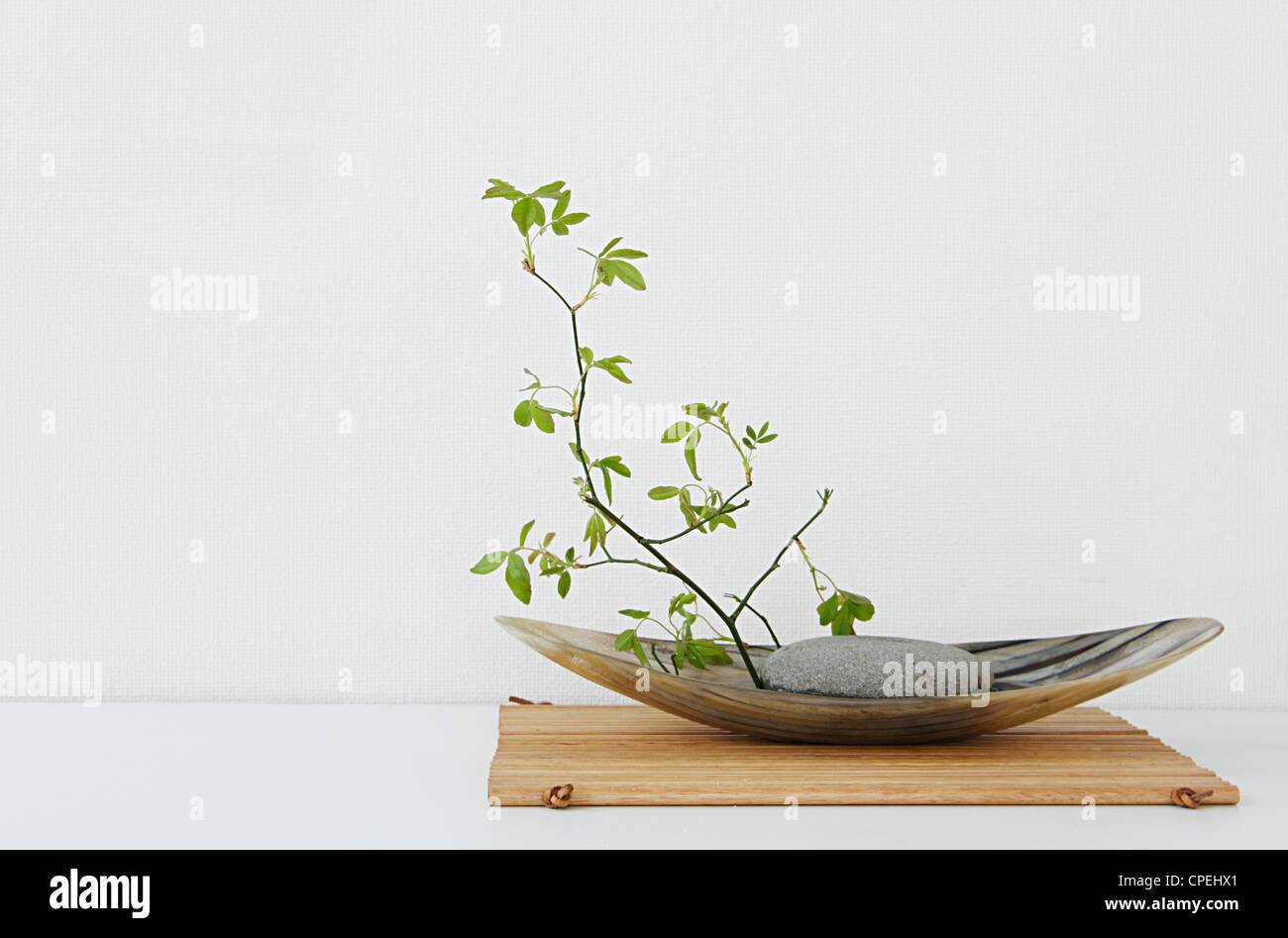 Plant In Decorative Bowl Stock Photo