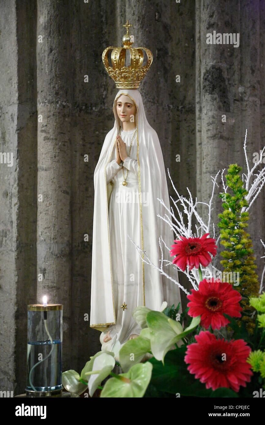Our Lady of Fatima  HD Wallpaper  Nelson MCBS