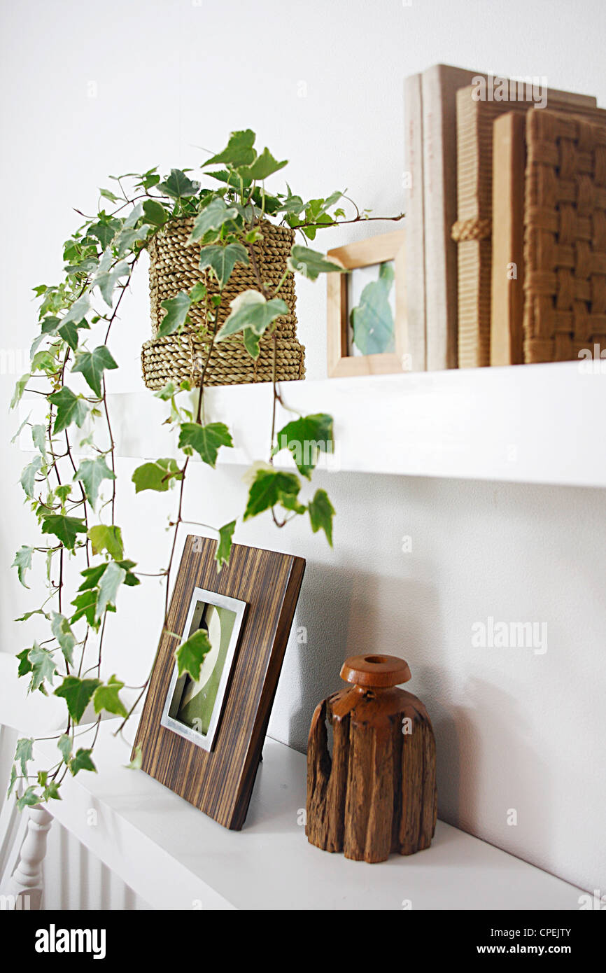 Plant frame hires stock photography and images Alamy