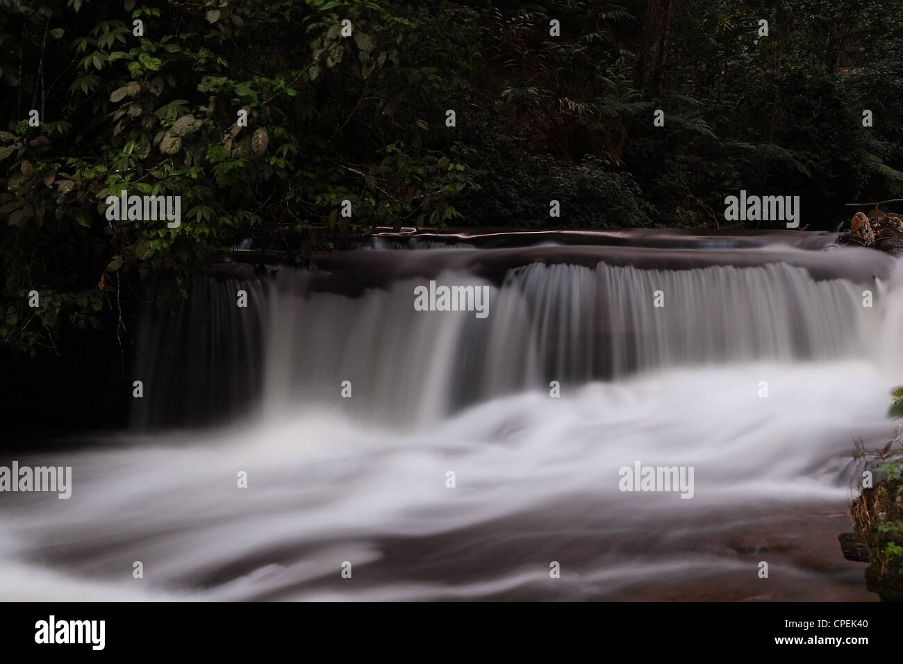 wild waterfall in western ghats Stock Photo - Alamy