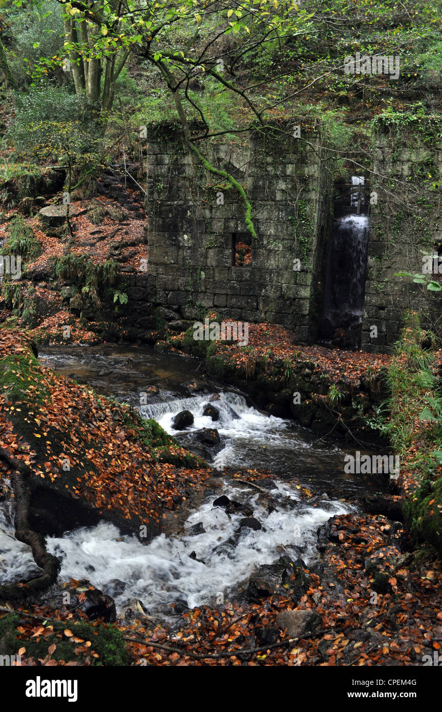 Kennall vale, cornwall Stock Photo Alamy