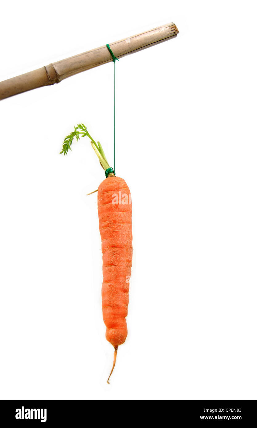 Dangling a carrot hires stock photography and images Alamy