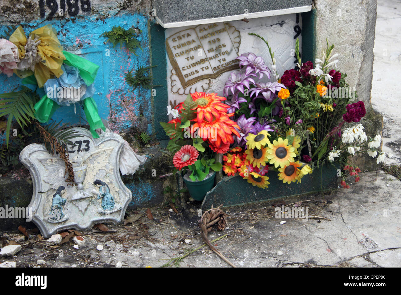 Decaying floral offering in front of humble graves at General Cemetery ...